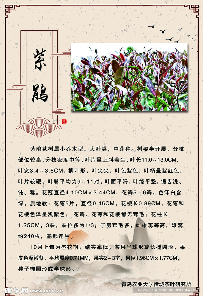 简介