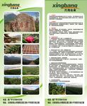 绿色公司简介  绿色展架
