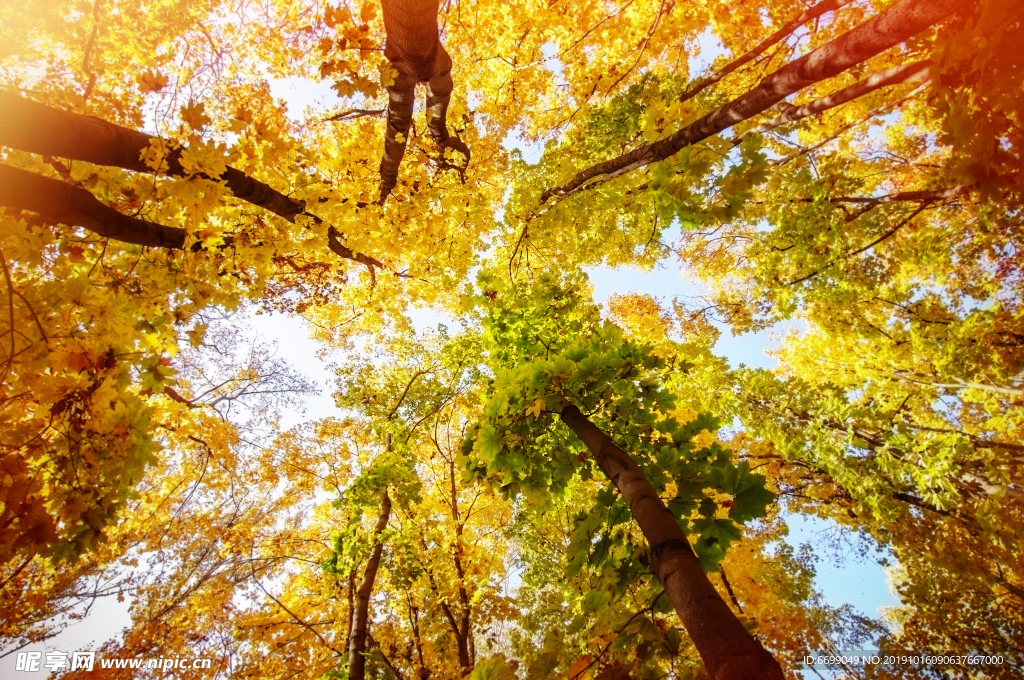 秋天风景