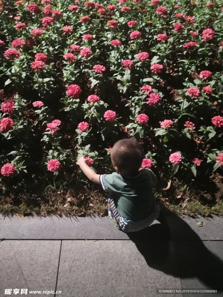 看花的小孩