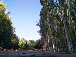 风景