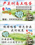 土鸭蛋绿色名片