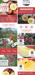 盐源苹果详情图