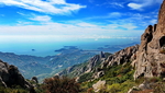青岛