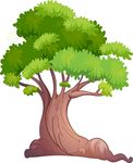 小树