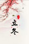 立冬梅花