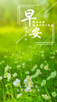 小清新早安