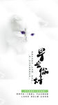小清新早安