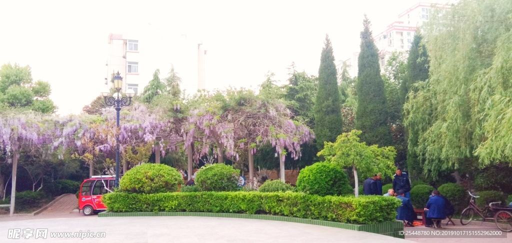 紫藤公园
