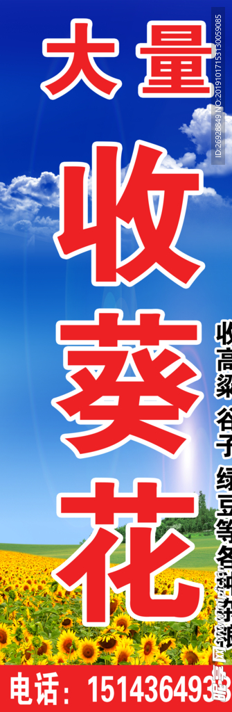大量收葵花 广告贴