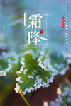 霜降