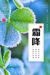 霜降