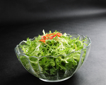 橄榄油拌苦菊