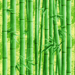 中式竹林