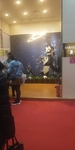 木纹 集成吊顶 壁纸 扣板