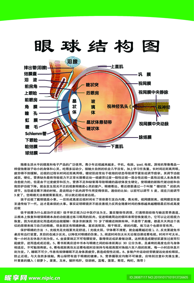 关爱眼睛海报