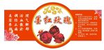 墨红玫瑰