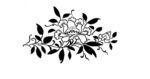花纹
