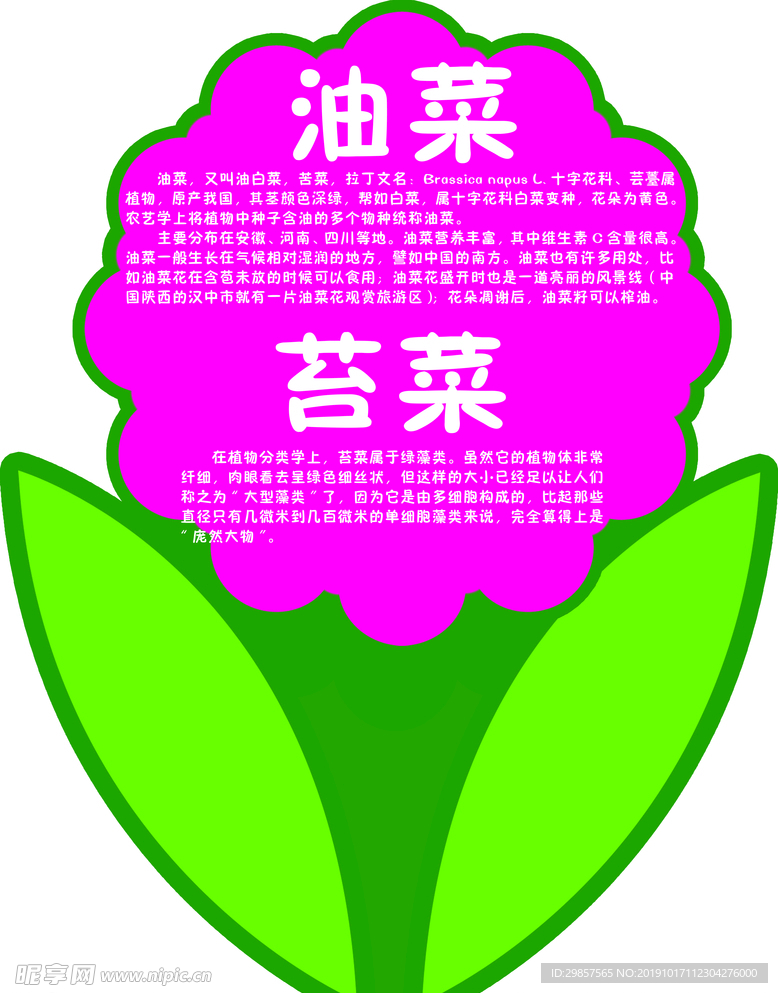 小二班班级牌