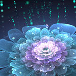 炫光花