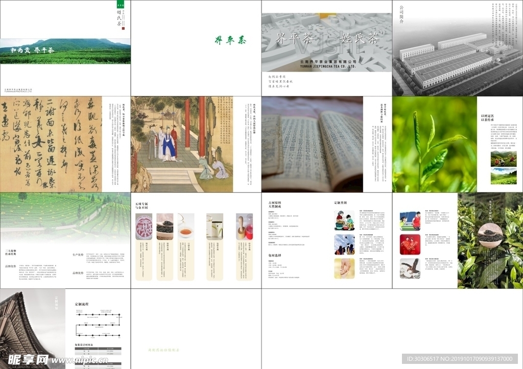 茶叶宣传册