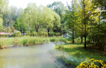 唯美风景