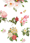 鲜花