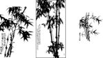 竹子 竹叶