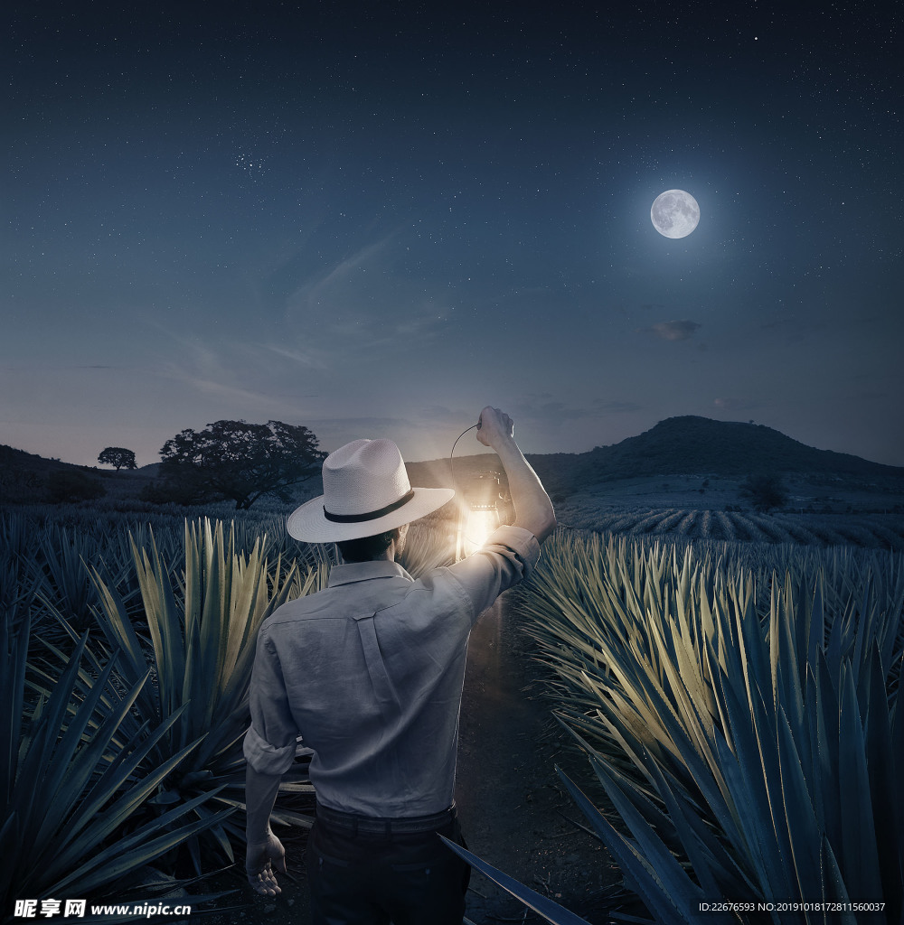 寻夜