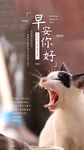 小清新早安