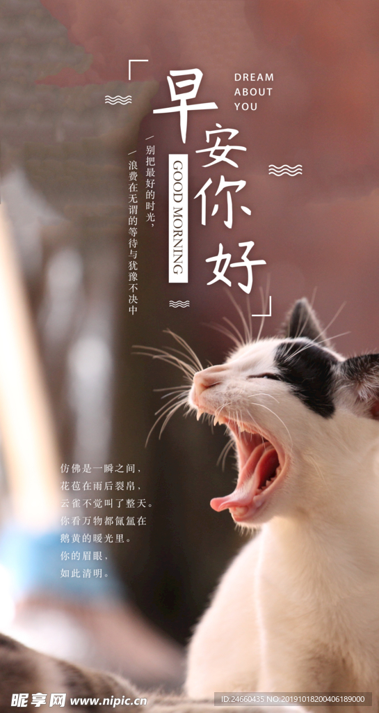 小清新早安