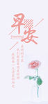 小清新早安