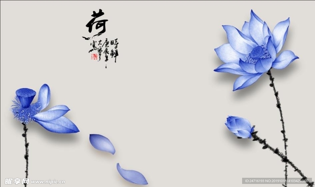 荷花