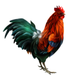 手绘公鸡免扣