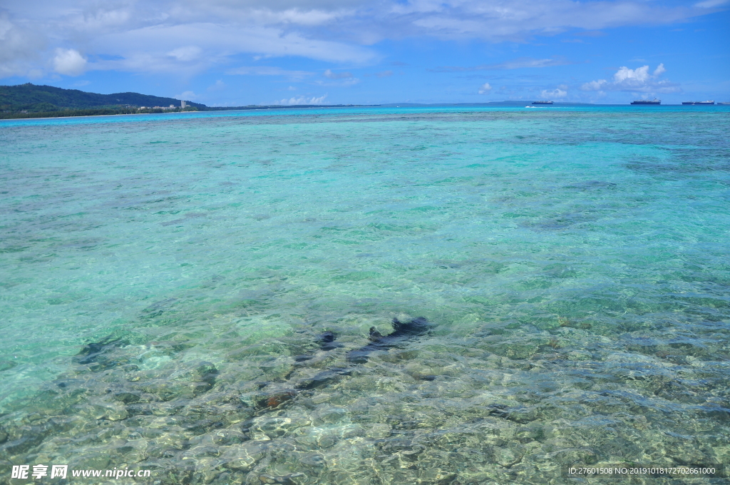 珊瑚海