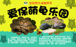 萌龟乐园