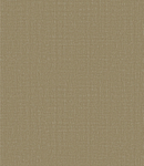 底纹