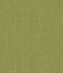 底纹