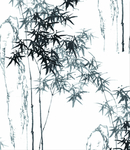 竹子