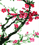 梅花