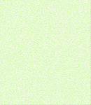 底纹