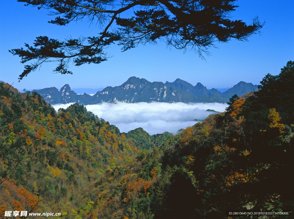 高山云海秋景