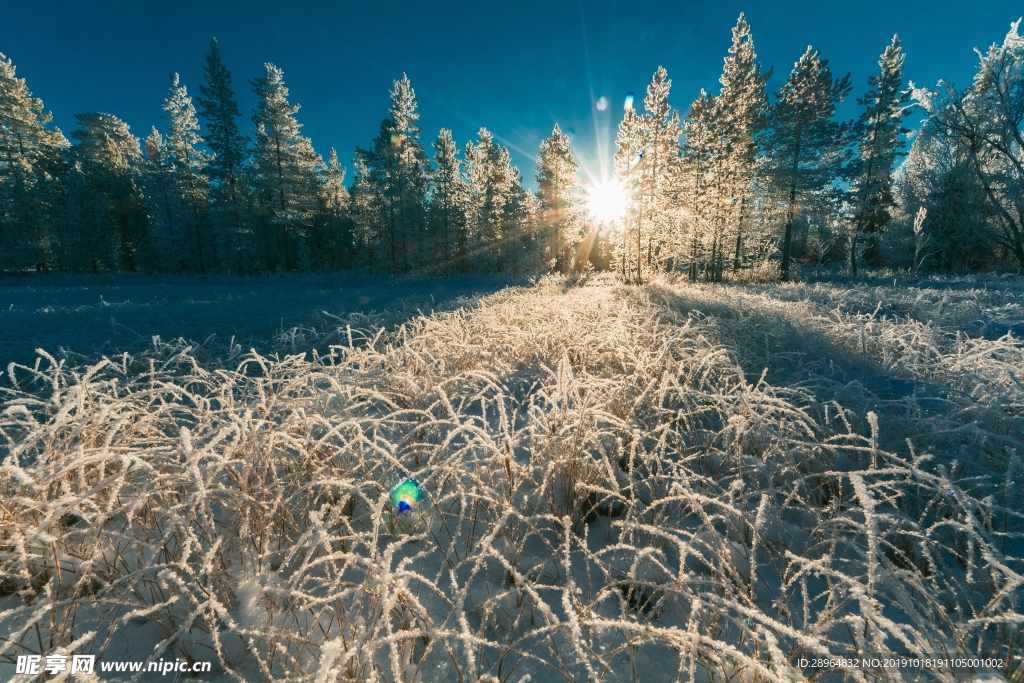 冬天 下雪 冬季 立冬 雪景