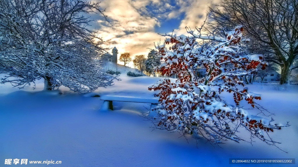 冬天 下雪 冬季 立冬 雪景