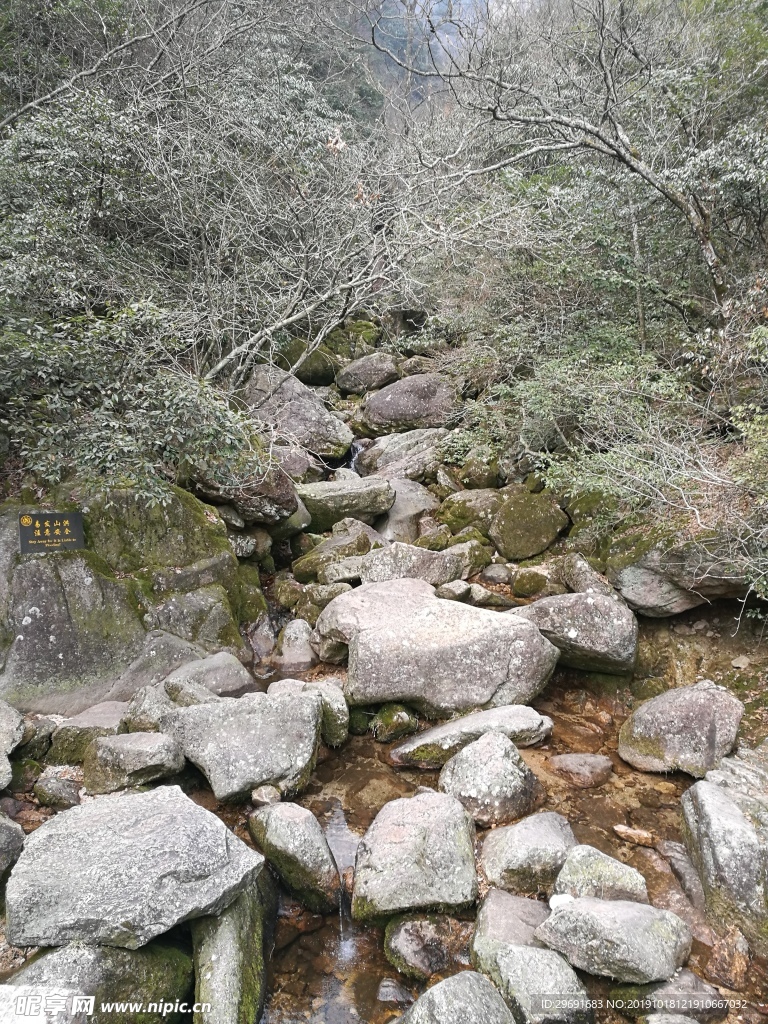 黄山上的风景