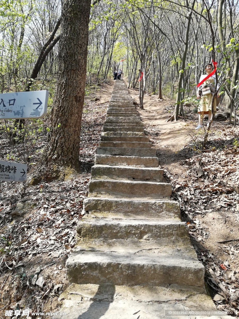 阶梯 石阶