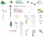 家居装饰字