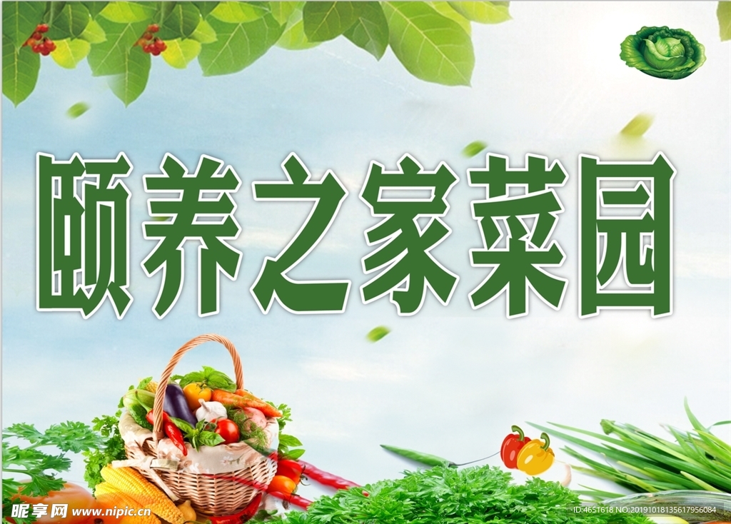 菜园