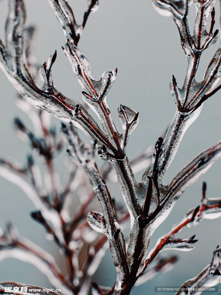 冰天雪地