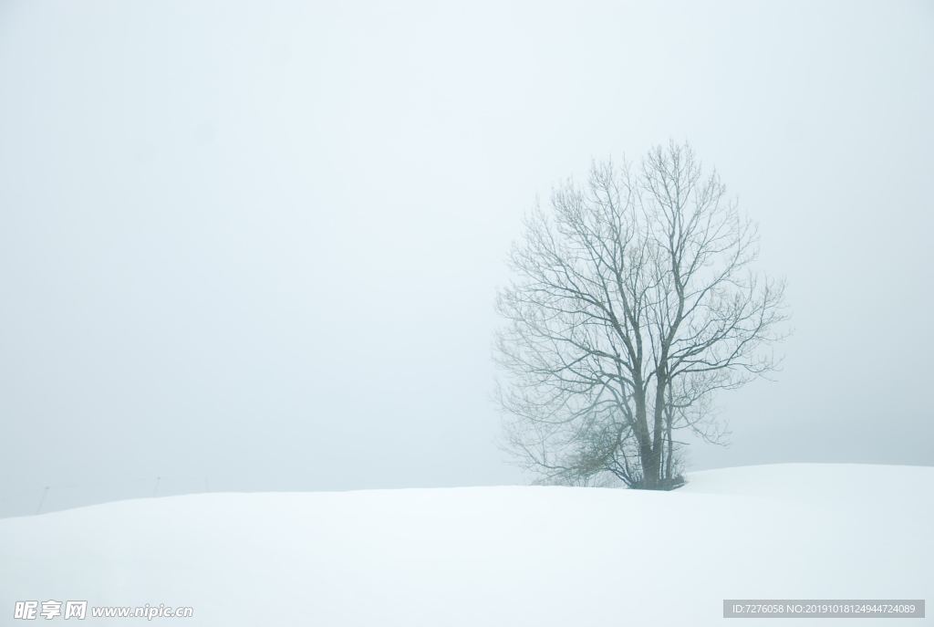 冰天雪地